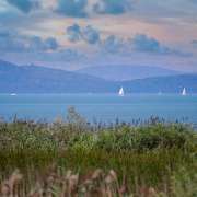 Balaton